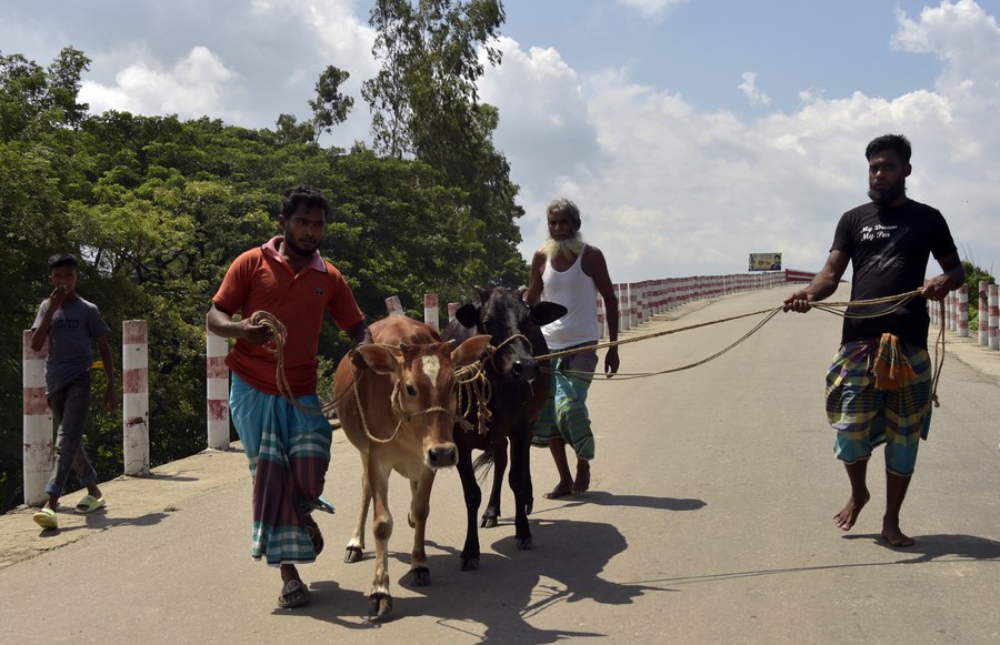 Livestock 2