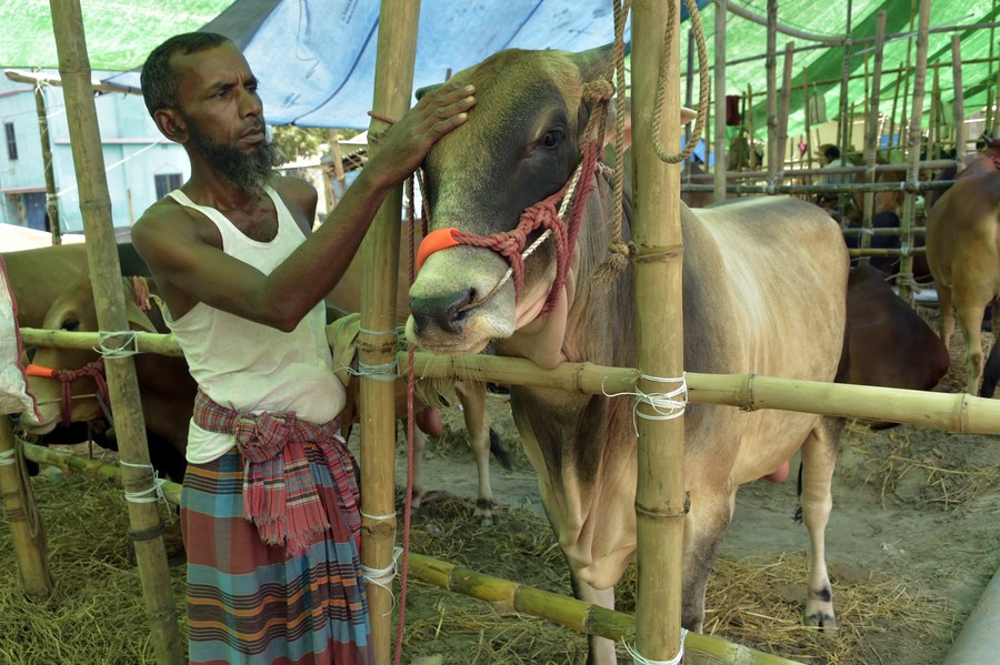 Livestock 3