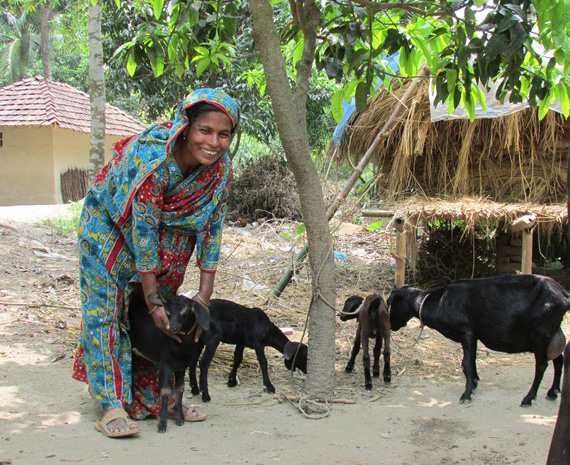 Livestock 5
